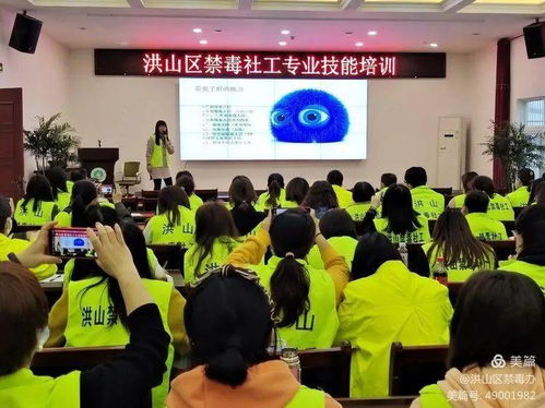 洪山區開展禁毒社工與影視專業技術培訓，雙線并舉提升專業服務能力