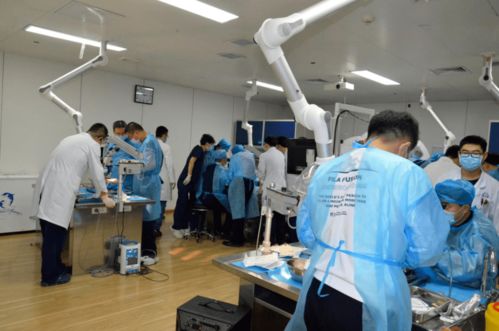 第八期吉林省神經外科專業技術質量控制培訓班圓滿閉幕，開創影視專業技術培訓新篇章